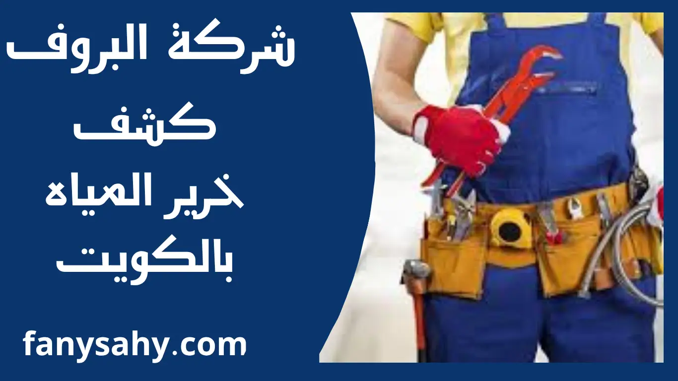 كشف خرير المياه بالكويت 2 باور 3 1