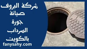 صيانة جورة السرداب بالكويت