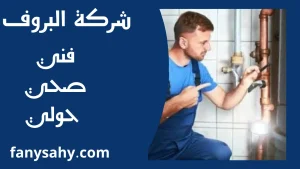 فني صحي حولي